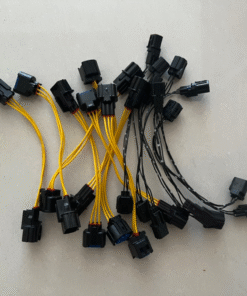 Chuyển Xi Nhan Carnival