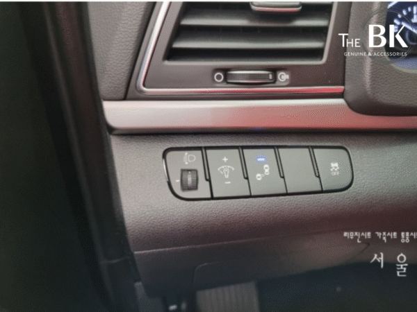 Cảnh Báo Điểm Mù Elantra 2019 - Ảnh 6